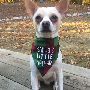 Dog/Cat Bandana - Santa's Little Helper - Small
